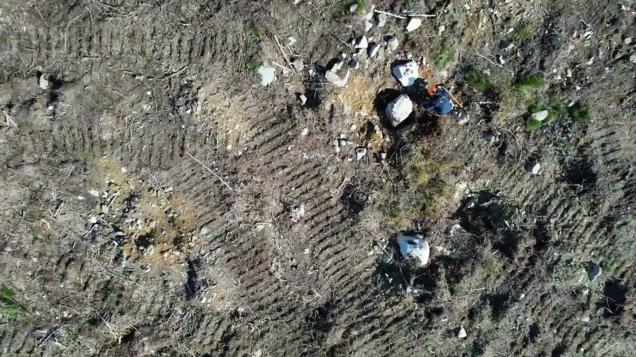 Direct Look At Spodumene Boulders