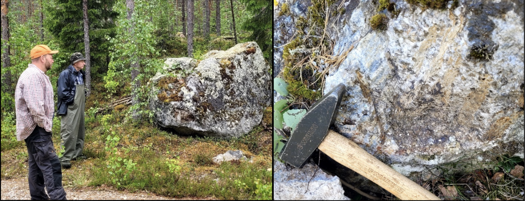 Jylhä discovery boulder with coarse spodumene crystals